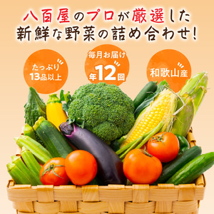 【8004-2】定期便 旬の新鮮野菜セットA【毎月お届け12回】たっぷり13品以上