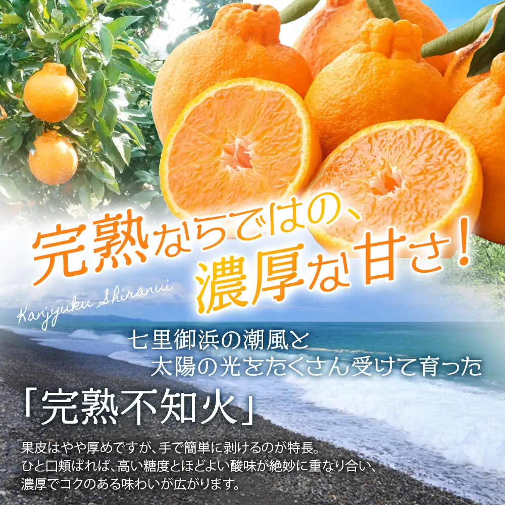 不知火 仲森農園の完熟不知火 5kg【nkmr0003】