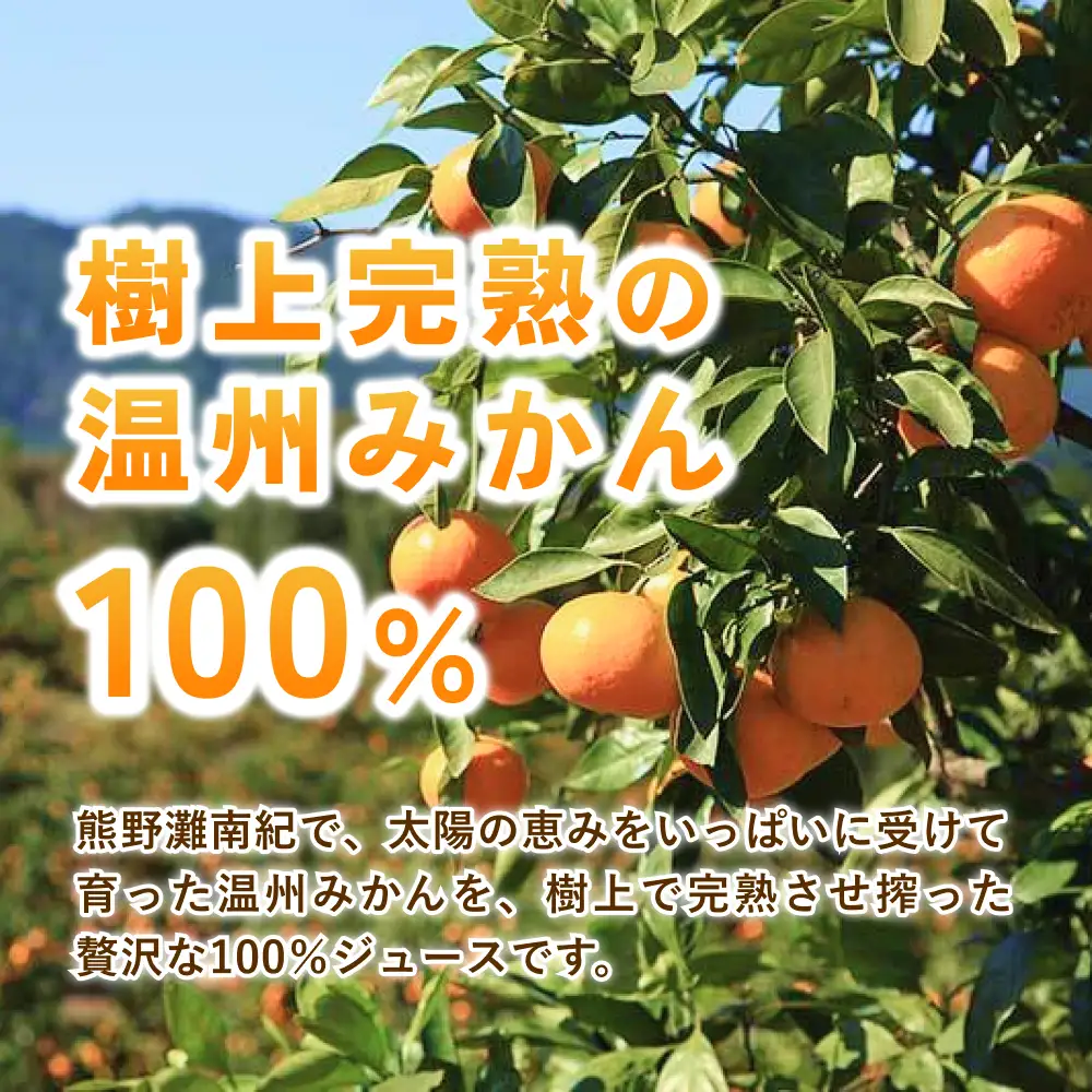 みかんジュース 無添加 果汁100％ みかんジュース 「くまのそだち」1L×3本【knpr0001】