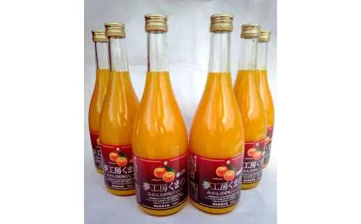 【糖度12度以上】無添加 果汁100％ マルチ栽培みかんジュース 720ml×12本 みかんジュース【kmkn0078】