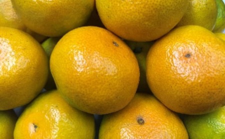 【 小豆島 】小豆島 ゆら早生みかん 約5kg みかん 蜜柑 ミカン ゆら早生 フルーツ 果物 くだもの 国産 香川 香川県 土庄 土庄町