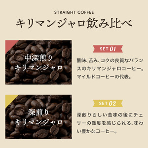 カフェ・アダチ　店主厳選！　キリマンジャロ決定版　２種類（200ｇ）飲み比べセット　S10-12