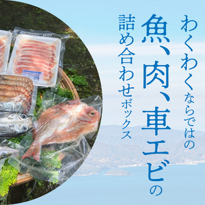 S059-011A_天草わくわくボックススタンダード  / 干物 豚肉 車エビ 海老 えび 刺身 刺し身