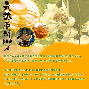 みかん蜂蜜「ジオハニー」330g×２瓶（化粧箱入り） USS0007