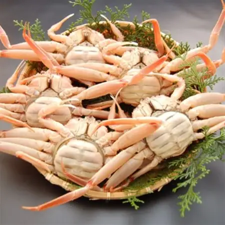 松葉ガニの本場　訳あり釜茹でセコガニ姿(冷凍)中サイズ5杯　高鮮度3D凍結　せいこがに　親ガニ　メス【配送不可地域：離島】【1118512】