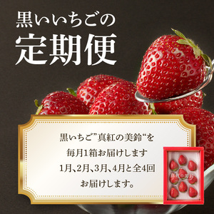 ★予約受付★玄海町産いちご“真紅の美鈴（しんくのみすず）” 毎月定期便｜苺 果物 フルーツ 旬 定期便【Z040】