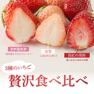 ★予約受付★3色いちご食べ比べセット｜さがほのか 白いちご 淡雪 真紅の美鈴 フルーツ 旬 玄海町【C030】