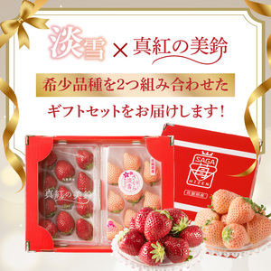 ★予約受付★もも色いちご＆黒色いちごギフトセット｜淡雪 真紅の美鈴 果物 フルーツ 旬 食べ比べ【C029】