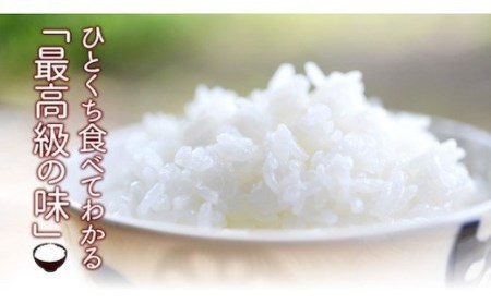 【令和7年産米】四万十育ちの美味しい「仁井田米」香り米入り（2kg） ブランド米 国産 ／Bmu-C52