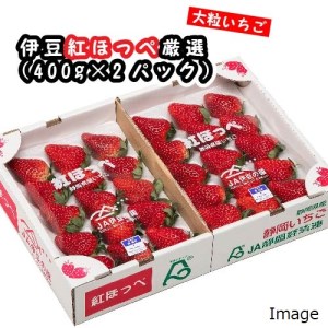 【数量限定】新鮮大粒いちご！伊豆紅ほっぺ厳選（約400g×2パック）