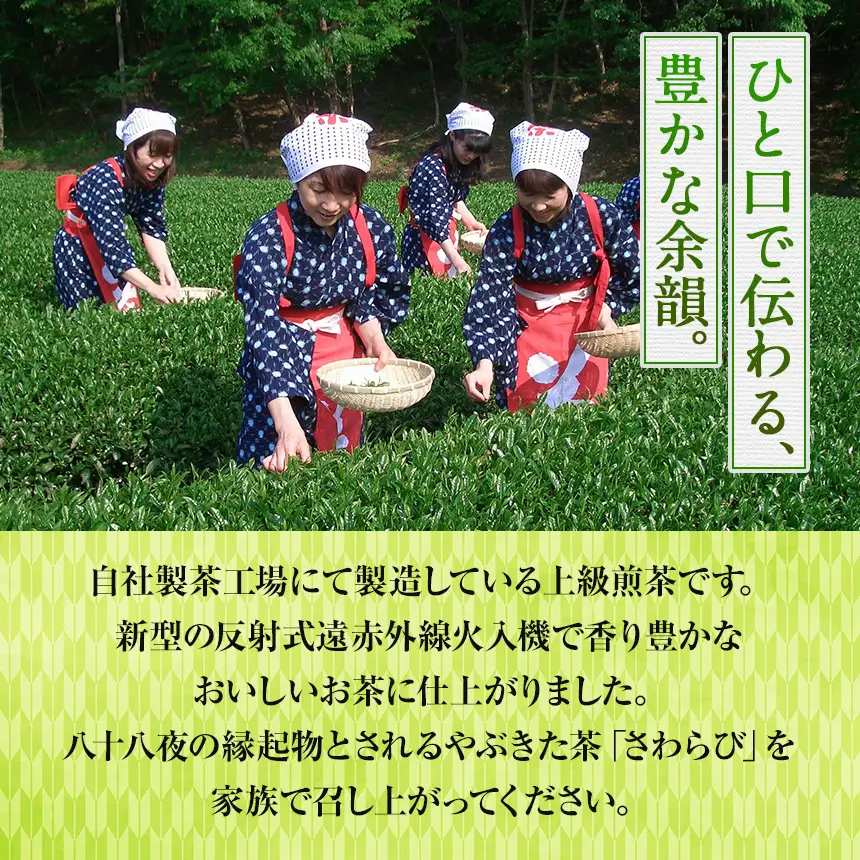 やぶきた茶「さわらび」（100g×3袋）