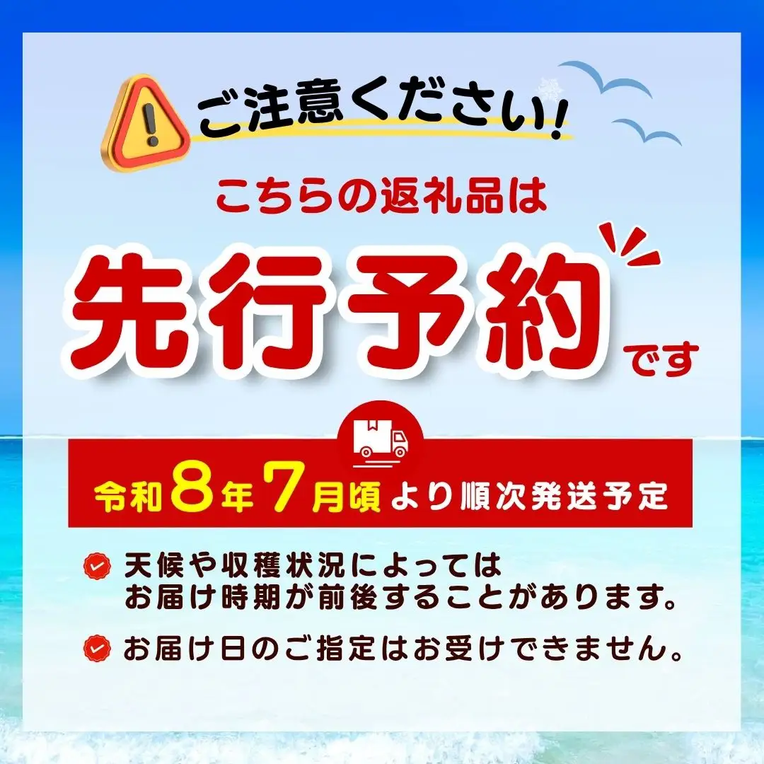 【先行予約】〈期間限定〉極上の逸品！伊豆温室メロン（1玉）