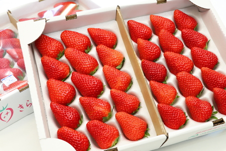 【数量限定】名産地伊豆のきらぴ香・紅ほっぺ食べ比べセット（約400g×4パック）