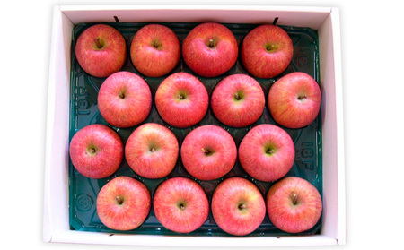 自然の恵みいっぱいの葉とらずふじりんご 大玉 約5kg FY25-924