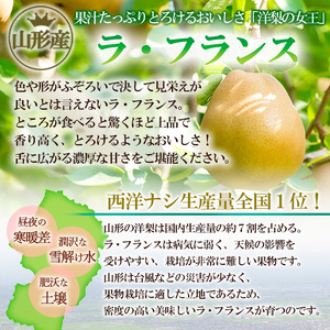 厳選ラ・フランス 秀品5kg FZ20-577