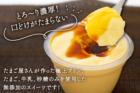 あさひのギフトセット（２５）【えごま玉子 6個入り プリン 無添加 3個 茶碗蒸し 3個 味付けたまご 1パック 厚焼たまご 1パック 玉子とうふ 1パック えごまドレッシング 1本 卵】