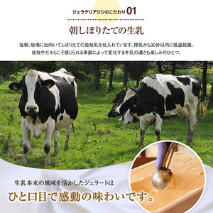 ジェラテリアGigiのイタリアンジェラート6種アソートセットカップサイズ【43003101】