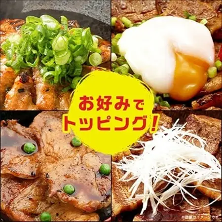 豚丼のぶたはげ「極撰豚丼セット4人前」_肉 豚肉 豚丼 セット ぶた丼 豚 ぶた ロース ロース肉 豚ロース スライス 真空パック 国産豚 たれ タレ 丼 おかず 惣菜 お弁当 北海道 帯広 ギフト プレゼント 冷凍 送料無料_【配送不可地域：離島】【1205703】