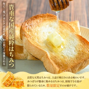 純粋はちみつ（あかしあ）600g《令和8年7頃より発送予定》【0106301】