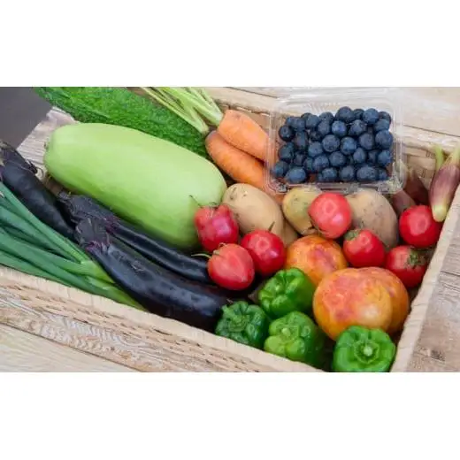 【 果物 】 果物 野菜セット 10～13 種類