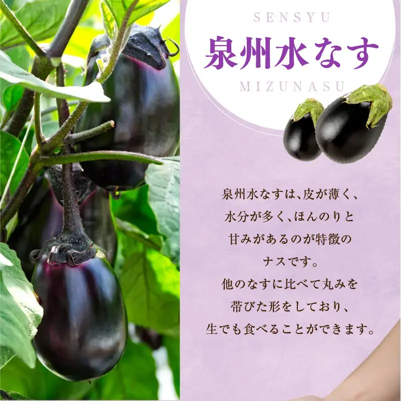 特選 無添加 水なす漬け 徳用水ナス セット
