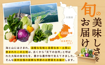 季節の泉州野菜 7種 おまかせセット ピクルスの素 1袋付き