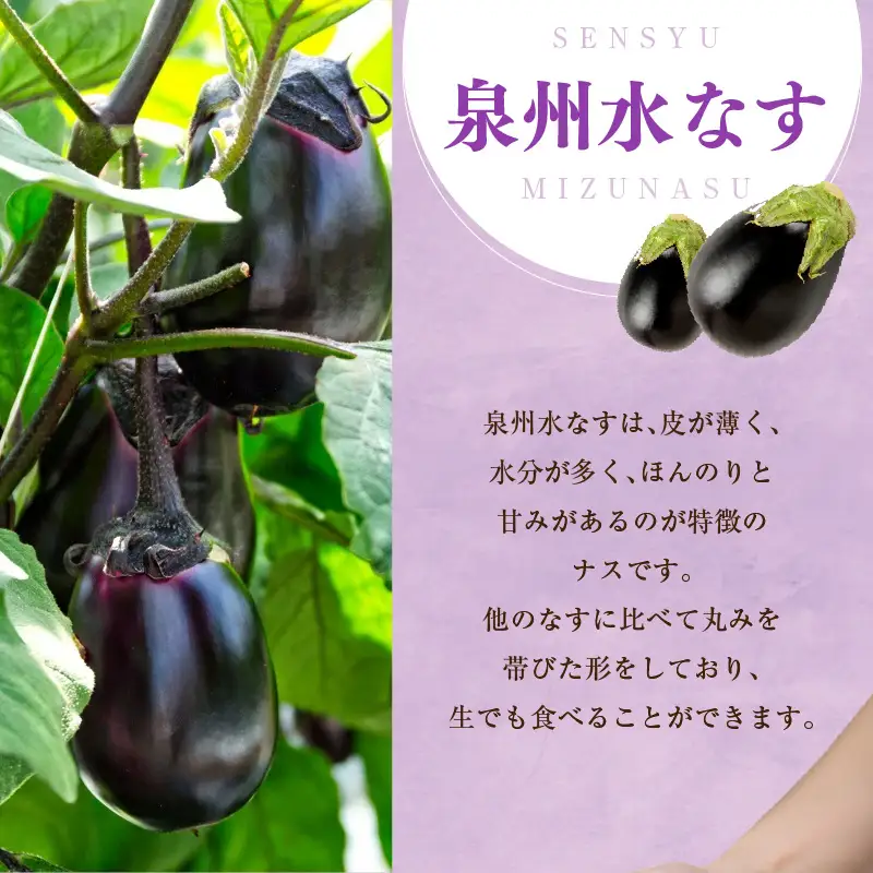 特選 無添加 水なす漬け 8個