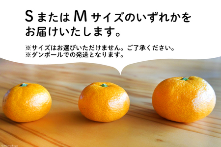 【期間限定発送】踊るおいしさ！甘くてジューシー 温州みかん 5kg [奈須農園 宮崎県 日向市 452061477]