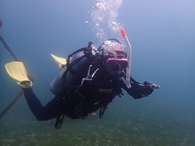 三浦半島城ヶ島でPADIオープンウォーターライセンス取得 M064-005 チケット 体験