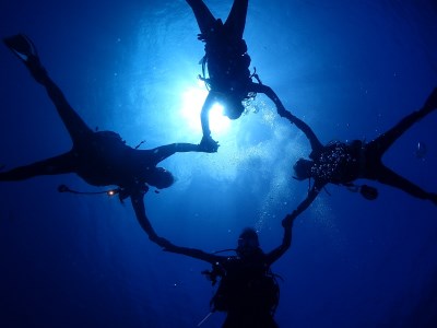 三浦半島城ケ島の海で体験ダイビング M064-001 チケット 体験