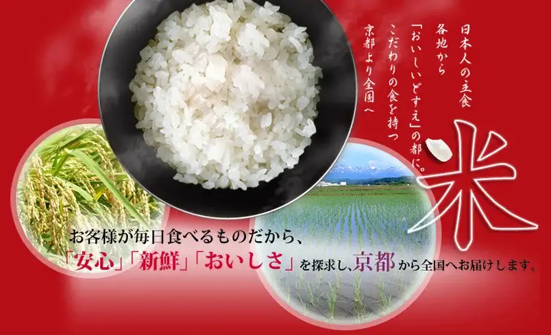 令和7年産 きぬひかり 5kg 白米 精米