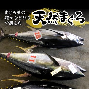 a30-207　【定期便 3回】 天然鮪 + ネギトロ 個包装20食セット