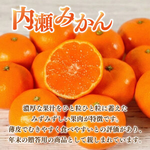 先行予約 内瀬みかん 約5kg アサヒ農園 / みかん 