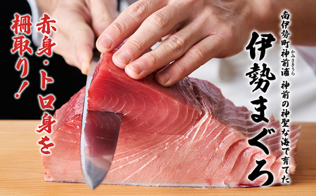 【 冷凍 】本マグロ 赤身 トロ身 約700g ブルーフィン三重 【 本鮪 】