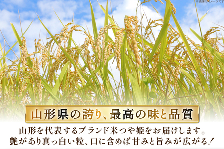 米 令和7年 コシヒカリ 5kg 2P 計 10kg [JA山形おきたま 山形県 高畠町 tk06ays870003]