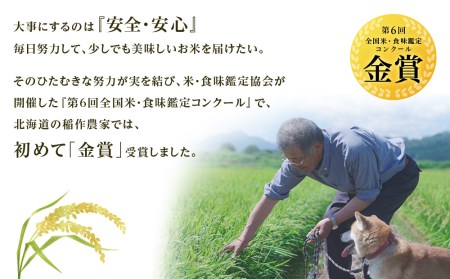 【令和7年産】【定期便 6カ月】ゆめぴりか 玄米 5kg 《杉本農園》