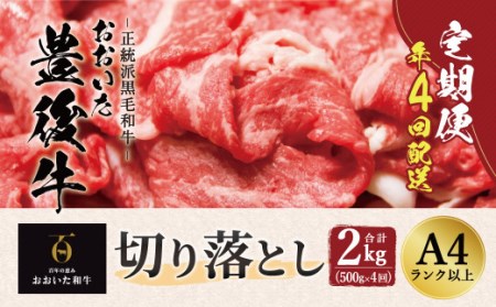 【定期便】おおいた豊後牛  切り落とし 500g×4ヶ月 計2kg