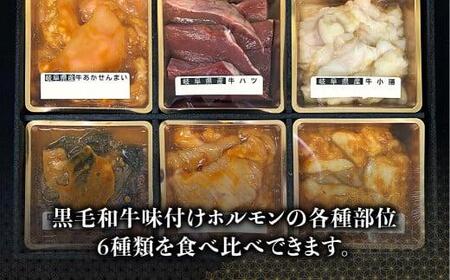 岐阜県産 黒毛和牛 ホルモン 食べ比べ 600g（100g×6種）| ホルモン  FH011