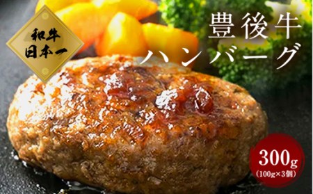 大分県竹田産 豊後牛の ハンバーグ 【100g×3個】