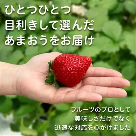 【2027年発送先行受付】フルーツ専門店が選んだ「あまおう苺」春250g×6パック(大野城市)_約1500g 1.5kg いちご イチゴ 苺 あまおう フルーツ 果物 くだもの 送料無料 デラックス DX グランデ 箱 ギフト 贈り物_【配送不可地域：離島】【1083968】