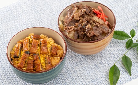 静岡祭丼　おすすめセット A （浜名湖鰻まぶし丼・三ヶ日牛丼 各3食）【配送不可：離島】 加工品 惣菜 冷凍 うなぎ 牛肉 お肉 