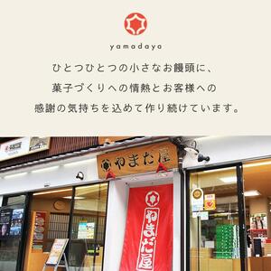 【やまだ屋】もみじ饅頭10個入｜まんじゅう 饅頭 和菓子 贈答 広島