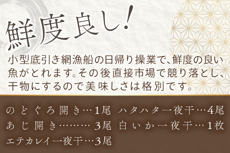 定番の干物５種詰合せセット【干物セット 人気 ノドグロ アジ エテカレイ ハタハタ 白いか のどぐろ 鯵 鰈 鰰 白イカ 島根県産 島根県沖 一夜干し 干物 ひもの 魚 高級魚 贈答 ギフト お取り寄せグルメ お中元】