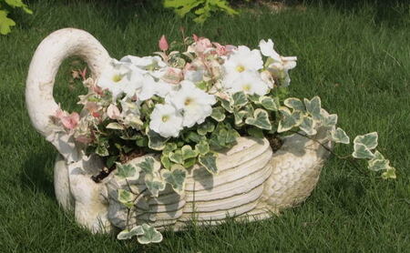 花 寄せ植え 季節のお花 白鳥型鉢 植物 ガーデン インテリア 