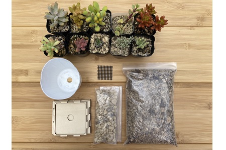 安心やすらぎ共和国 OASIS REPUBLIC -SUNAGAWA BASE- 片桐農園×空知単板工業 『多肉植物寄せ植え体験ギフトセット』 [オアリパ 北海道 砂川市 12260374] 