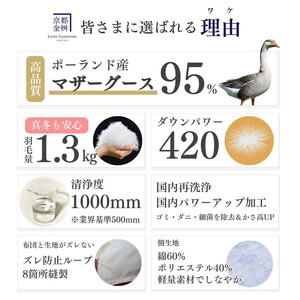 羽毛布団 ブルー シングル ポーランド産マザーホワイトグースダウン95％ 布団 ロワーレ