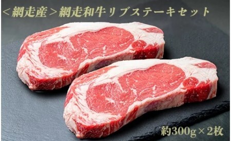 ＜網走産＞網走和牛リブステーキセット ABAO031