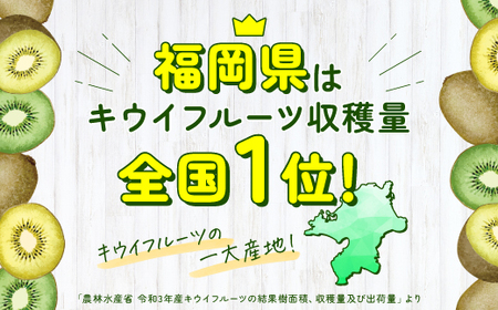 【予約受付】AB128.キウイフルーツ(グリーン)3kg程度／2027年1月～2月配送予定