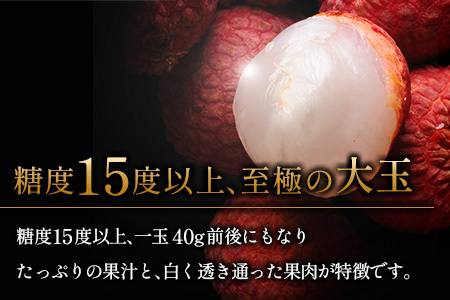 ［2026年発送］先行予約 希少！国産＜新富ライチ＞40g前後×10玉 国産 ブランド フルーツ 果物 贈答品【B120-26】