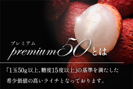 ［2026年発送］先行予約 希少！国産＜新富ライチpremium50＞50g以上×8玉 国産 ブランド フルーツ 果物 贈答品【C52-26】
